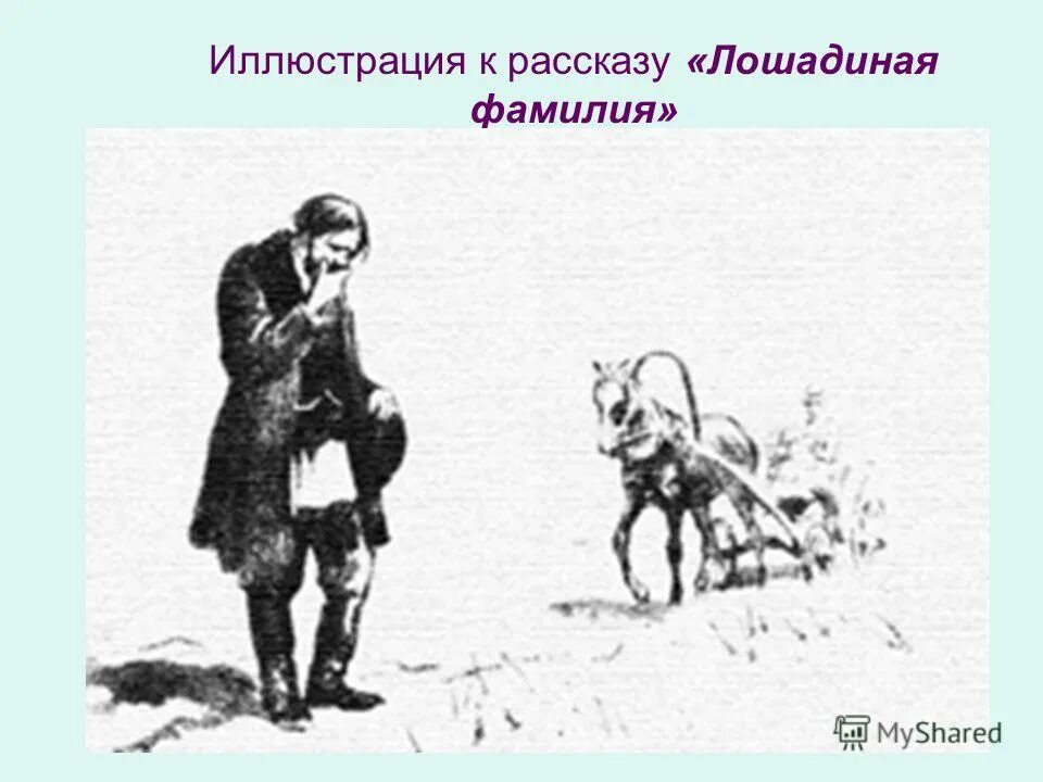 чехов а. рисунок к рассказу чехова лошадиная фамилия. иллюстрация а. иллюстрация к лошадиной фамилии чехова. п.