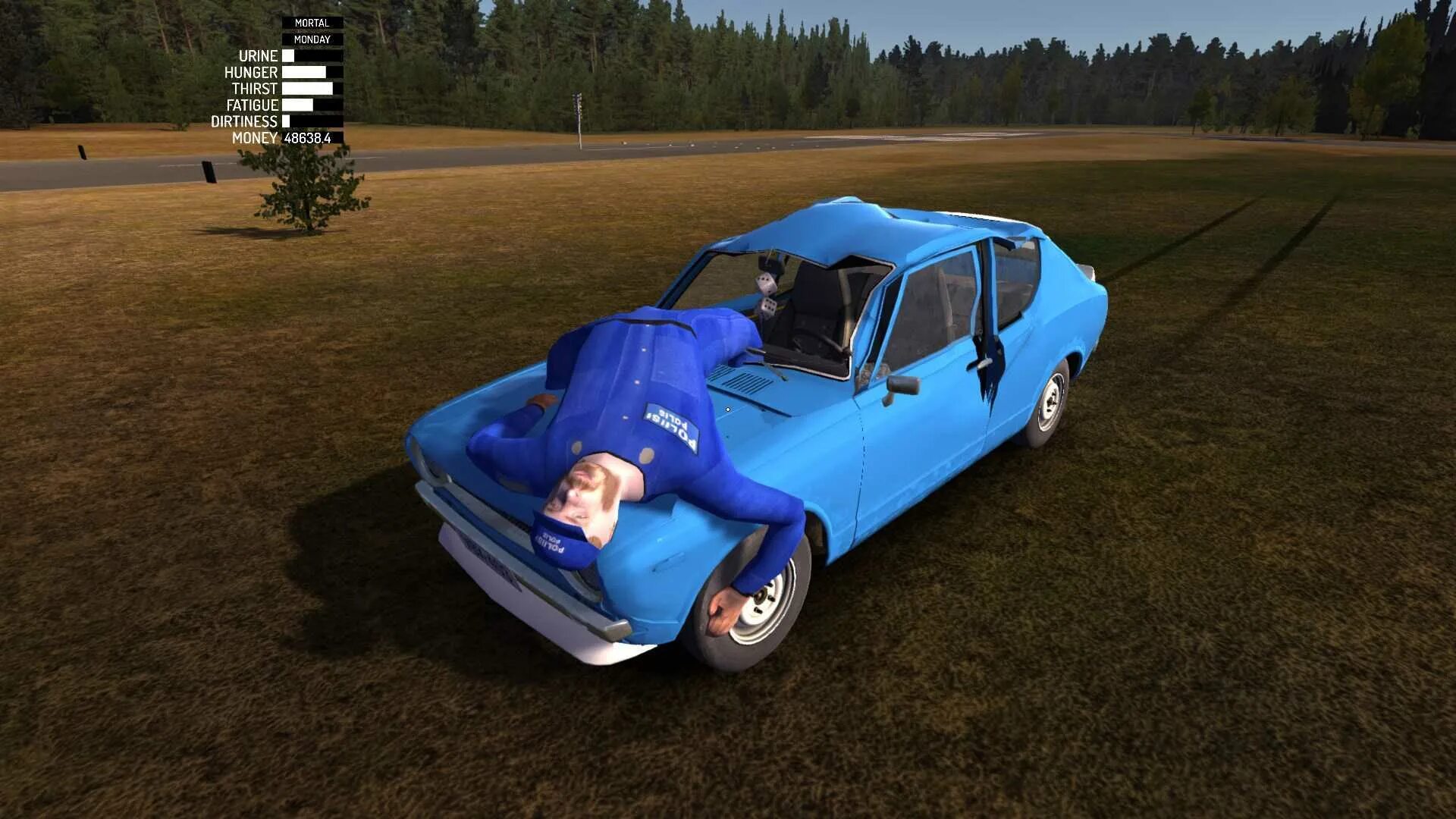 My summer car site