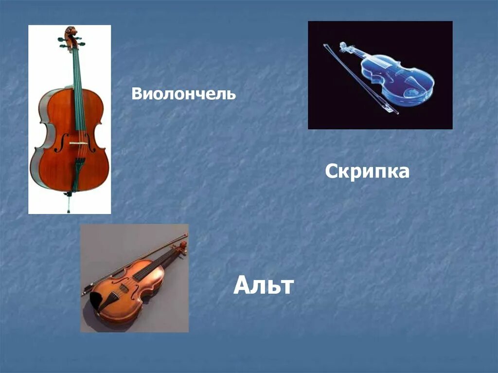 Скрипка виолончель контрабас. Скрипка Альт виолончель. Скрипка Альт виолончель контрабас картинки. Картинки скрипка, Альт виолончель. Скрипка альт звучание