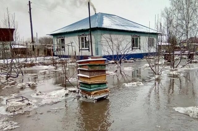 Усть козлуха алтайского. Усть козлуха алтайского. Усть-козлуха краснощековского. Усть козлуха погода в алтайском крае. Усть козлуха погода в алтайском крае.