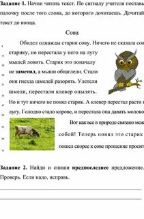 Сделать комплексную работу