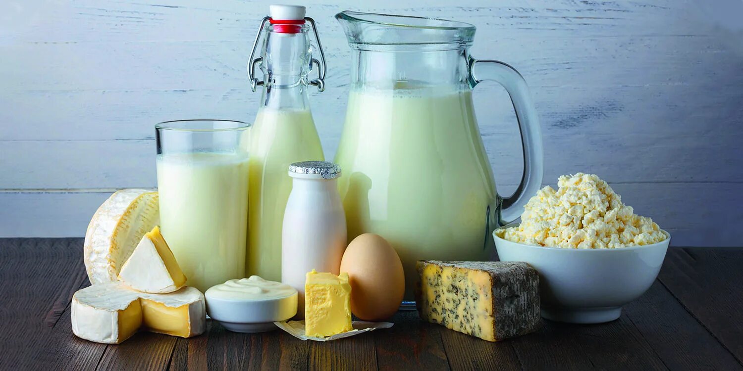 молочные продукты в высоком качестве. домашняя молочная продукция. сыро молочная продукция. сыро молочная продукция. молочные продукты.