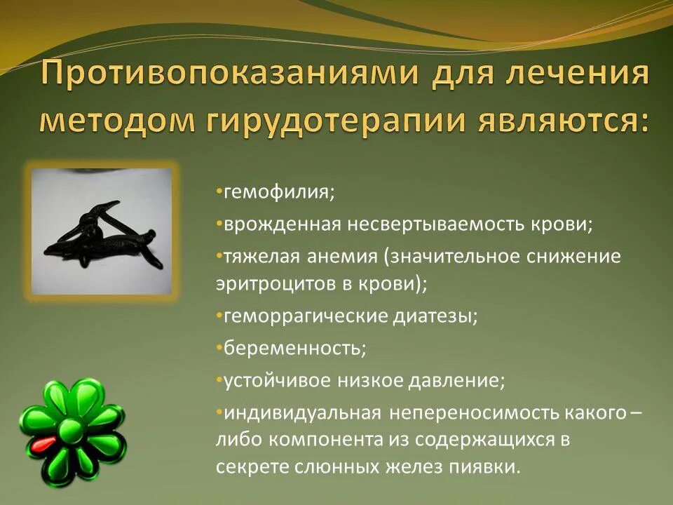 Противопоказания Гирудо. Гирудотерапия противопоказания. Пиявки противопоказания. Гирудотерапия показания. От каких болезней пиявки