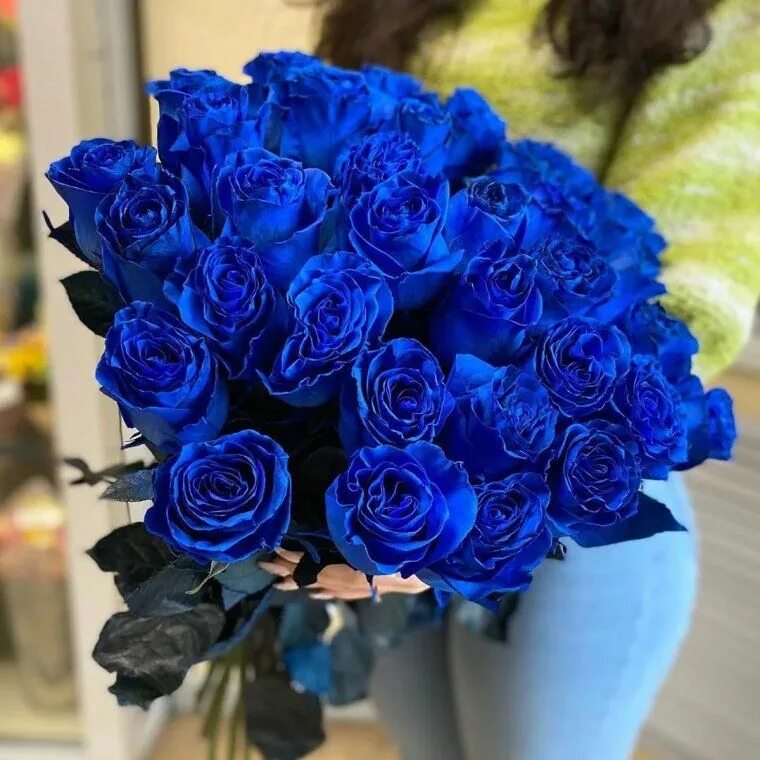 Фотография синего цвета. Синяя роза Беккер. Эквадорские синие розы. Синие кустовые розы. Букет синих роз.