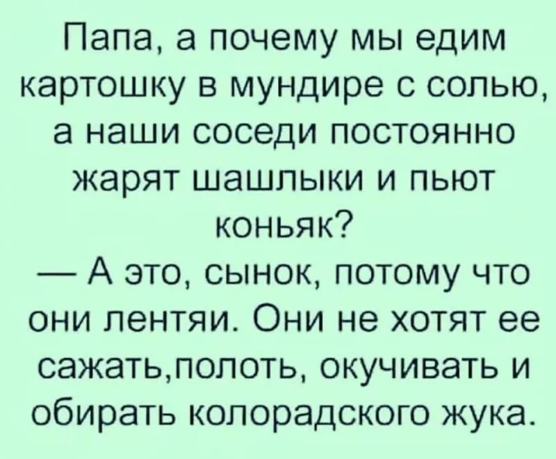 Папа а почему мы едим картошку в мундире а наши. Соседи смешные картинки. Пап пап пап. У соседа перфоратор а у меня пианино. Сосед ест.