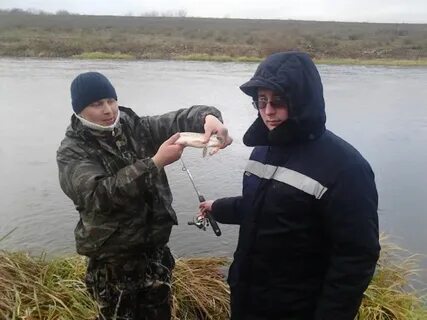 Погода в калеево