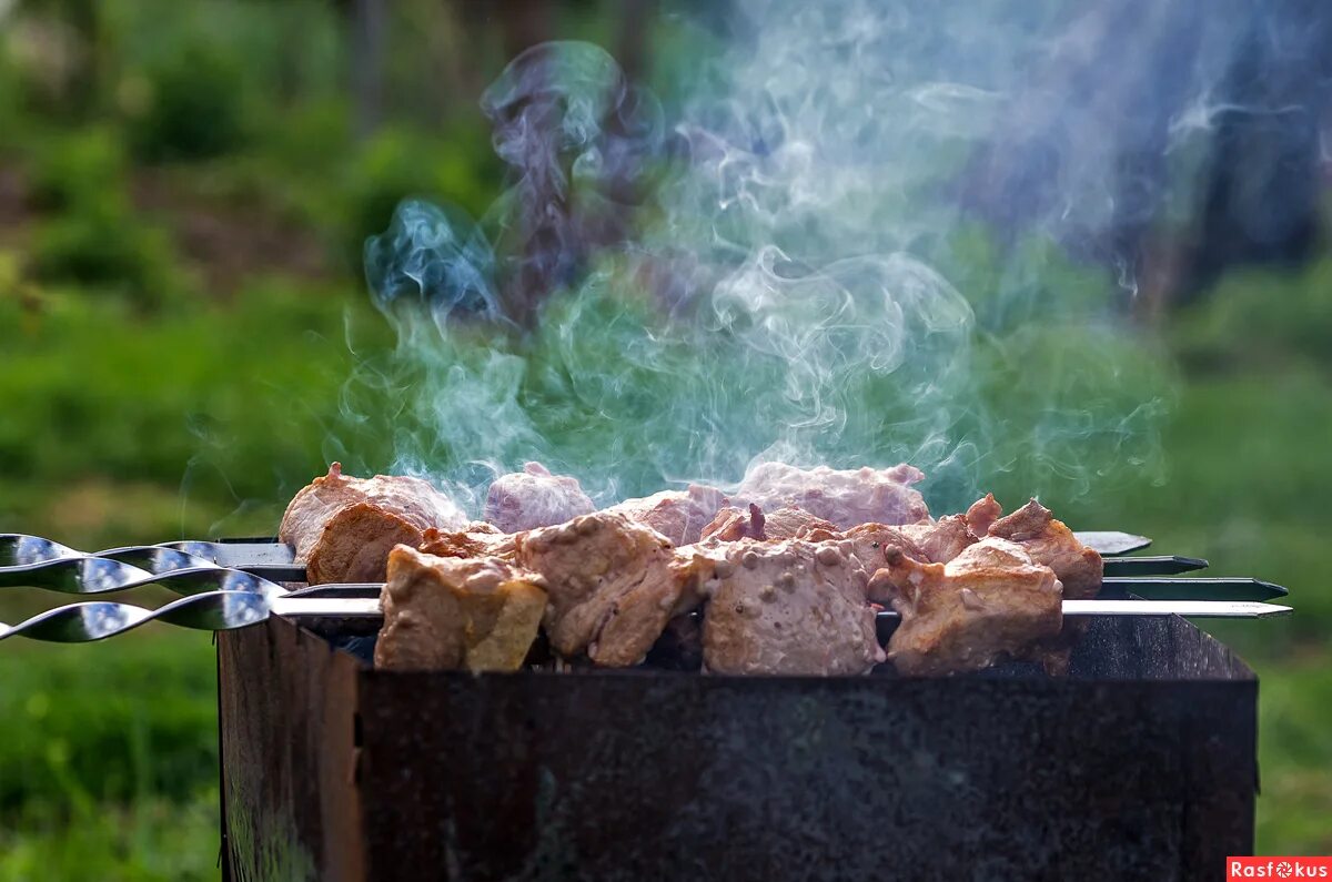 Стол на природе с шашлыками. Овощи на мангале. Сочный шашлык на мангале. Шашлык в горах. Томатный соус к шашлыку.