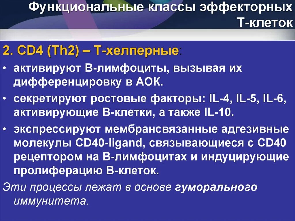 Эффекторные антителообразующие клетки это. Эффекторные клетки. Антигенраспознающих рецепторов т и б лимфоцитов. Антигенраспознающие рецепторы экспрессируются на мембране:. Эффекторные т клетки