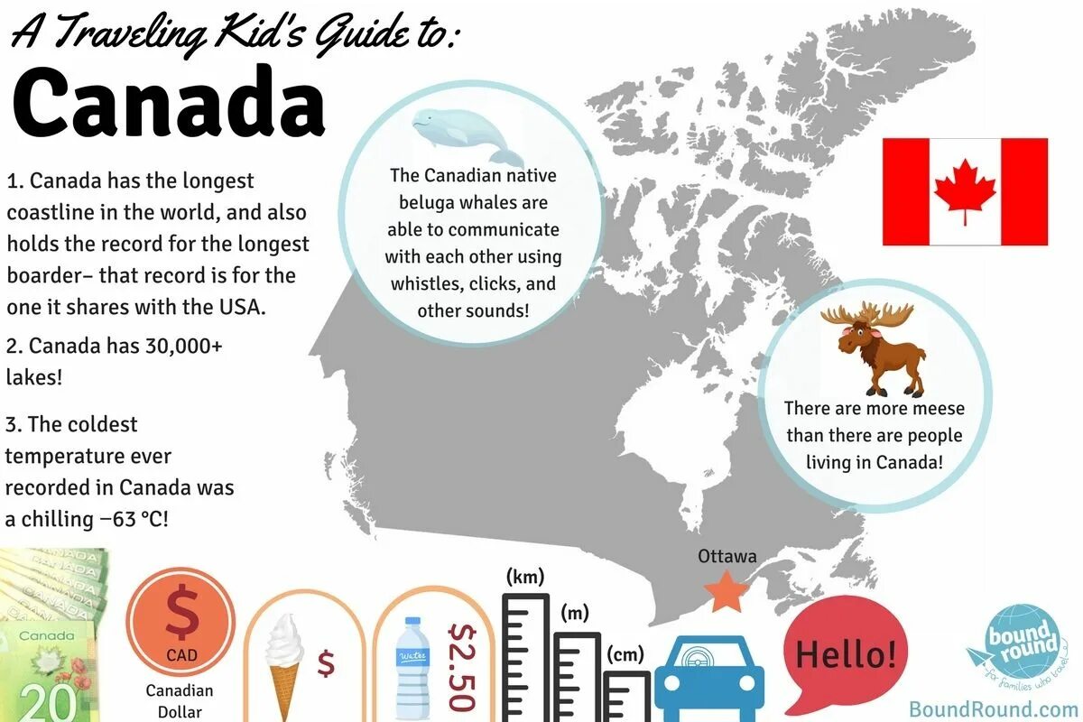 Some people live in country. Инфографика на английском. Facts about Canada. Инфографика по английскому языку. Канада инфографика.