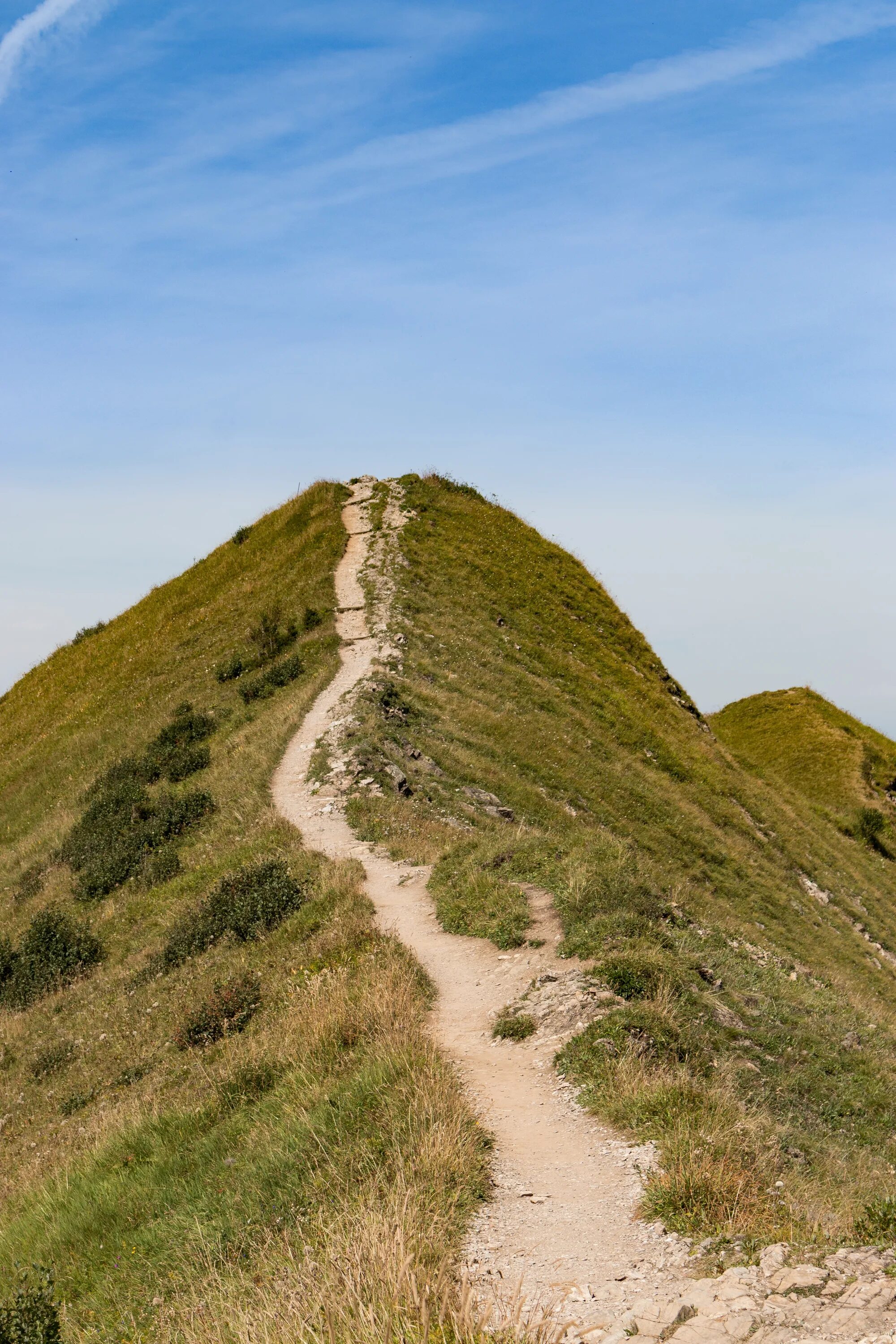 Path size