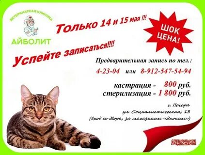 Айболит камышинская 10