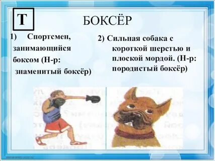 Бокс предложения
