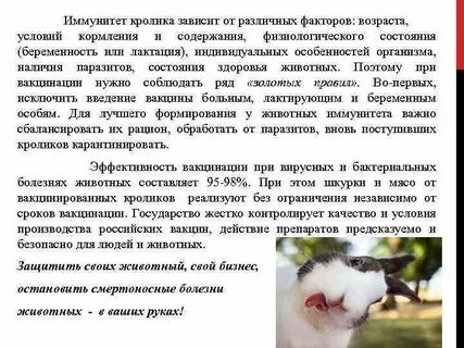 Физиологические состояния животных