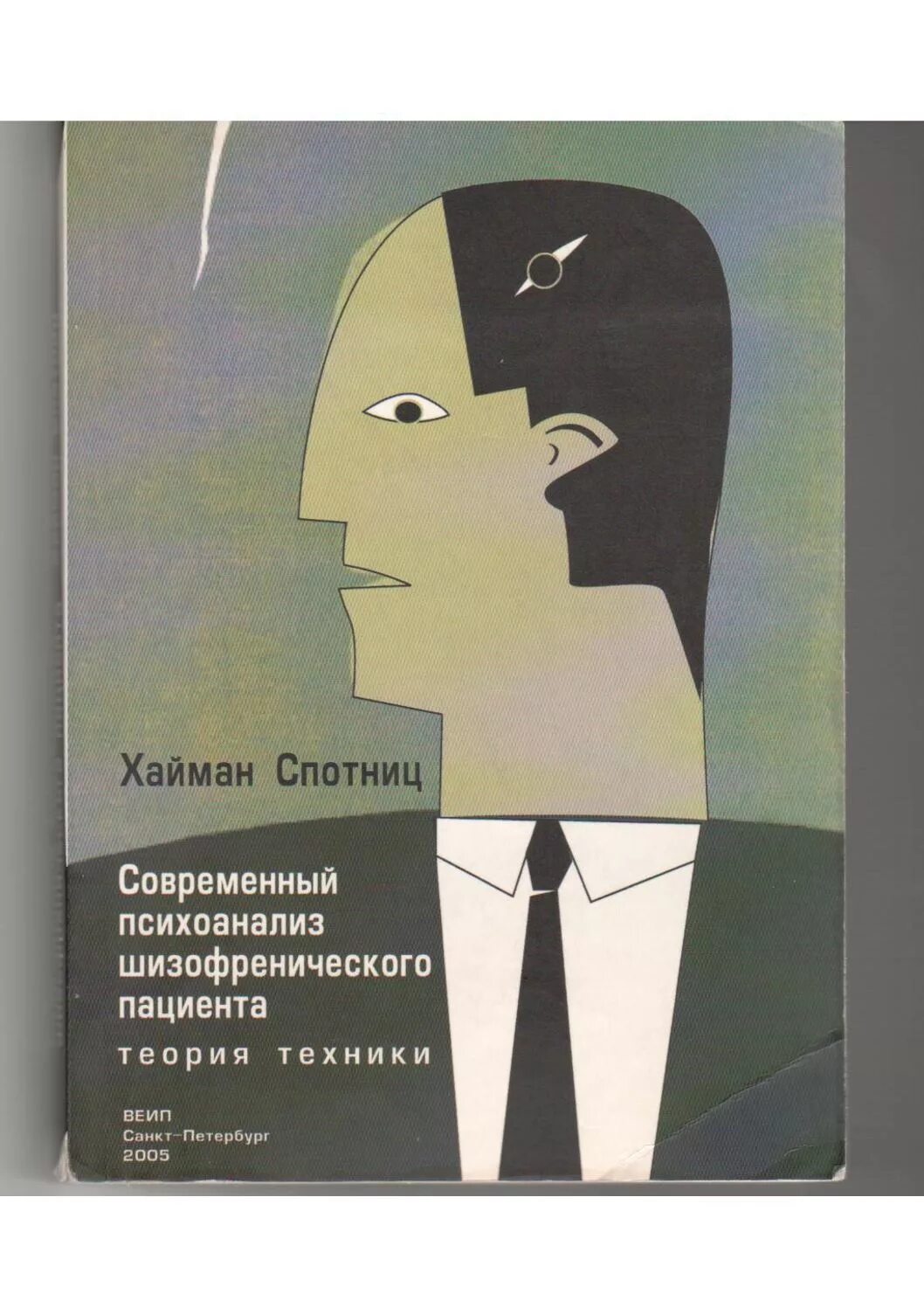 Спотниц современный психоанализ. Хайман Спотниц психоанализ шизофренического пациента. Книга современный психоанализ. Современный психоанализ шизофренического пациента. Теория техники.