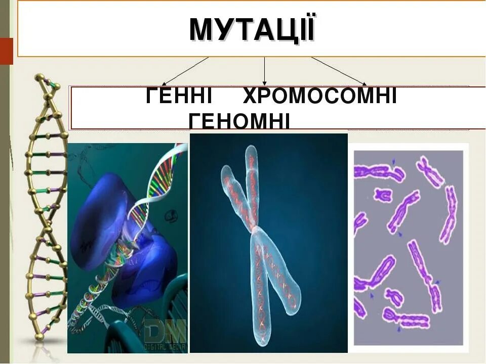 Мутирование генов