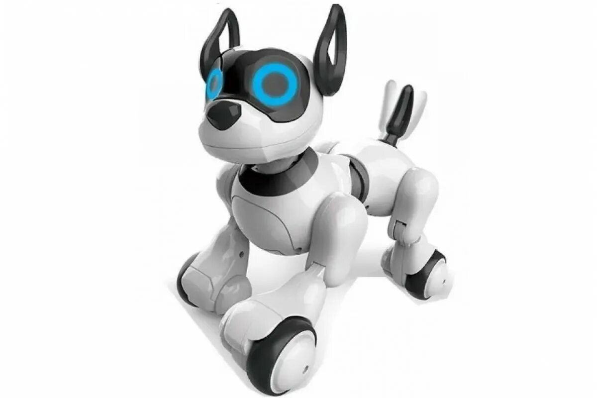 Как называется робот собака. Радиоуправляемая собака-робот smart robot dog - zya-a2875. робот собака jzl 20173-1. радиоуправляемая интерактивная собака wow!dog - k10. робот щенок дружок 1 toy.