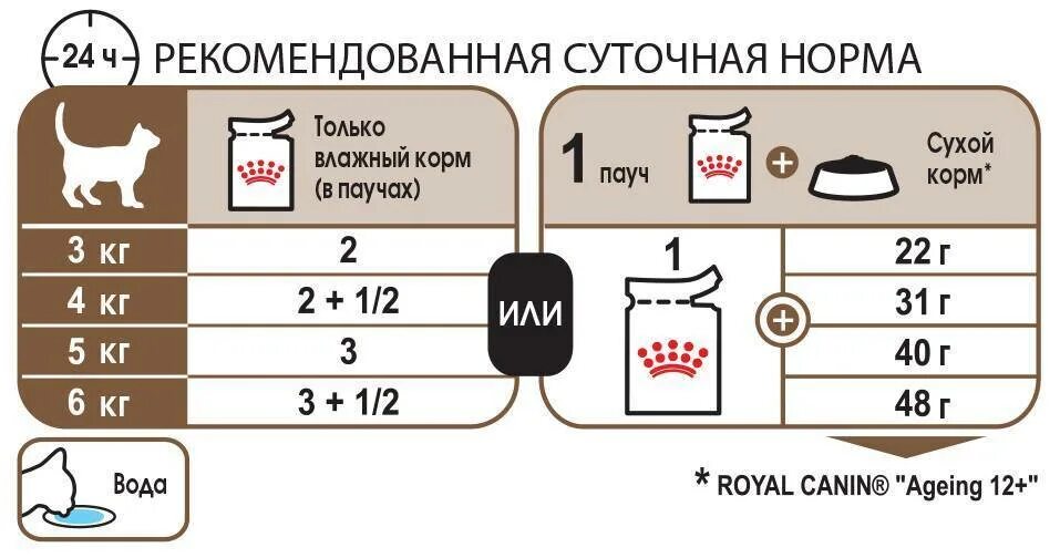 Норма сухого корма для кошек в день таблица Роял. Сухой корм для кошек норма в день. Норма сухого корма для кошек в день. Норма влажного корма для кота в день.