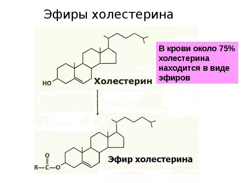 Формула холестерола. Формула холестерола биохимия. Эфиры холестерола структурная формула. Холестерин химическое строение.