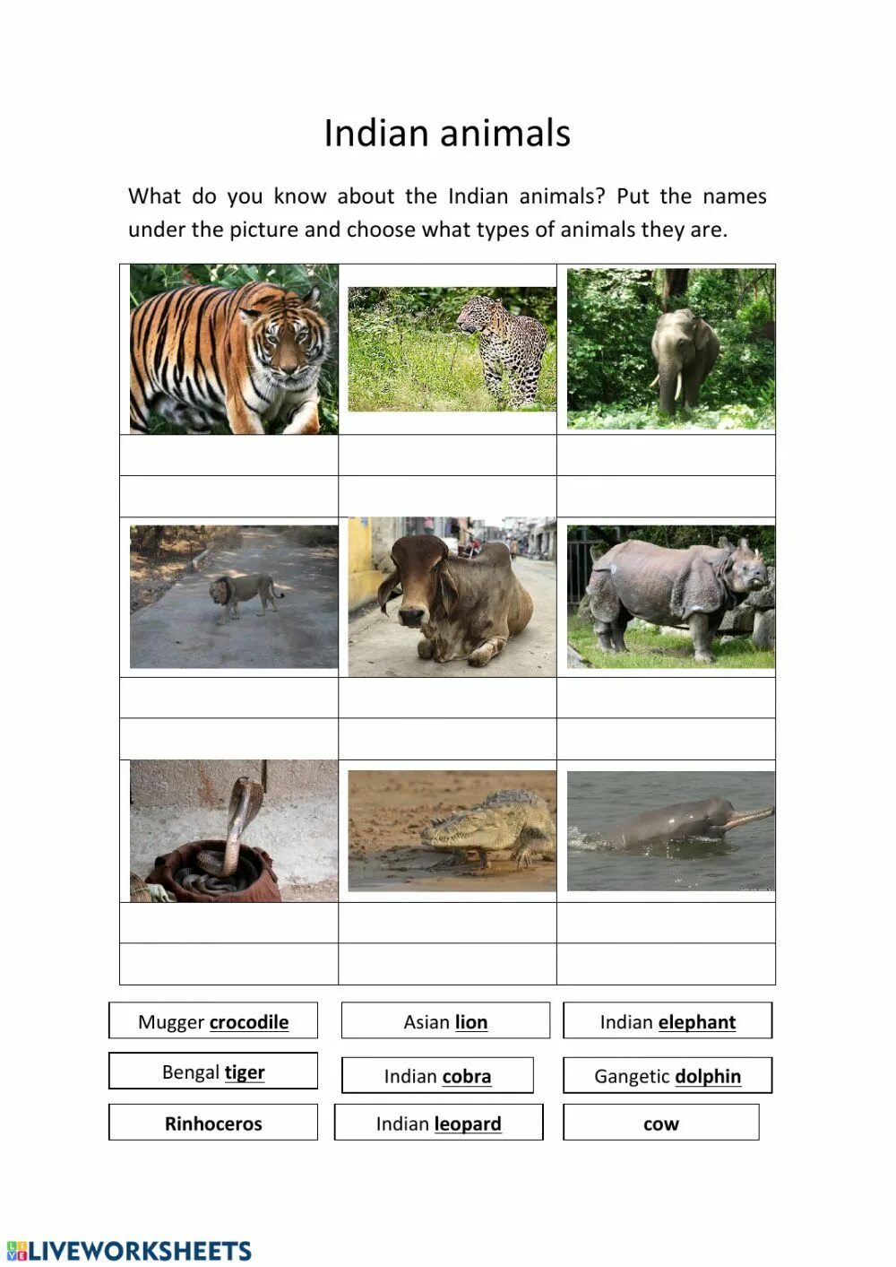 Английский язык wild animals worksheets. Задания по английскому языку starter. Animals английский задания can or can,t. Animals worksheets for 3 grade. Animals grammar.