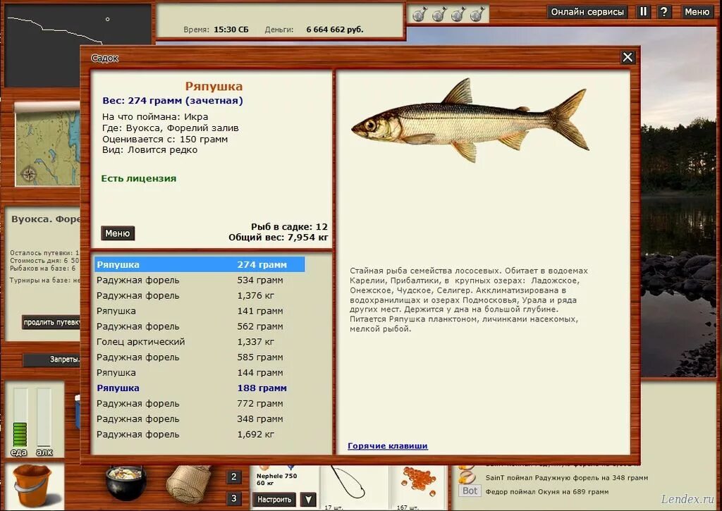русская рыбалка 4 река куори как ловить ряпушку и где. 1 финский залив ряпушка. рыба ряпушка размер. где ловится ряпушка. рыба ряпушка фото и описание.