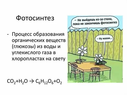 За счет углекислого газа происходит фотосинтез