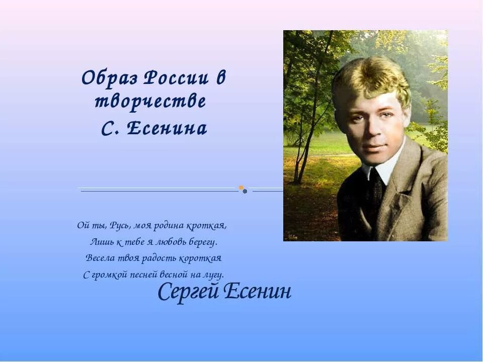 Родина Сергея Есенина Россия?. Стихи Есенина. Стихи Есенина о родине. Стихотворение о родине Есенин. Анализ стихотворения есенина край ты мой