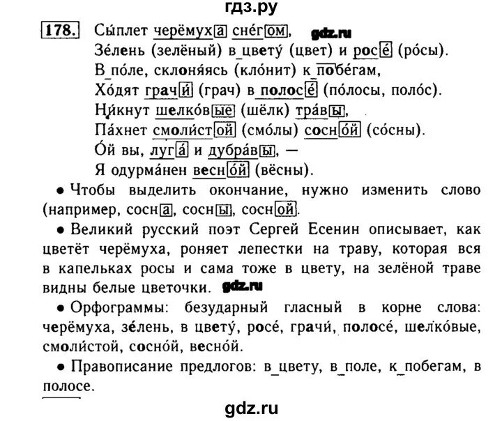 2 класс страница 104 упражнение 178