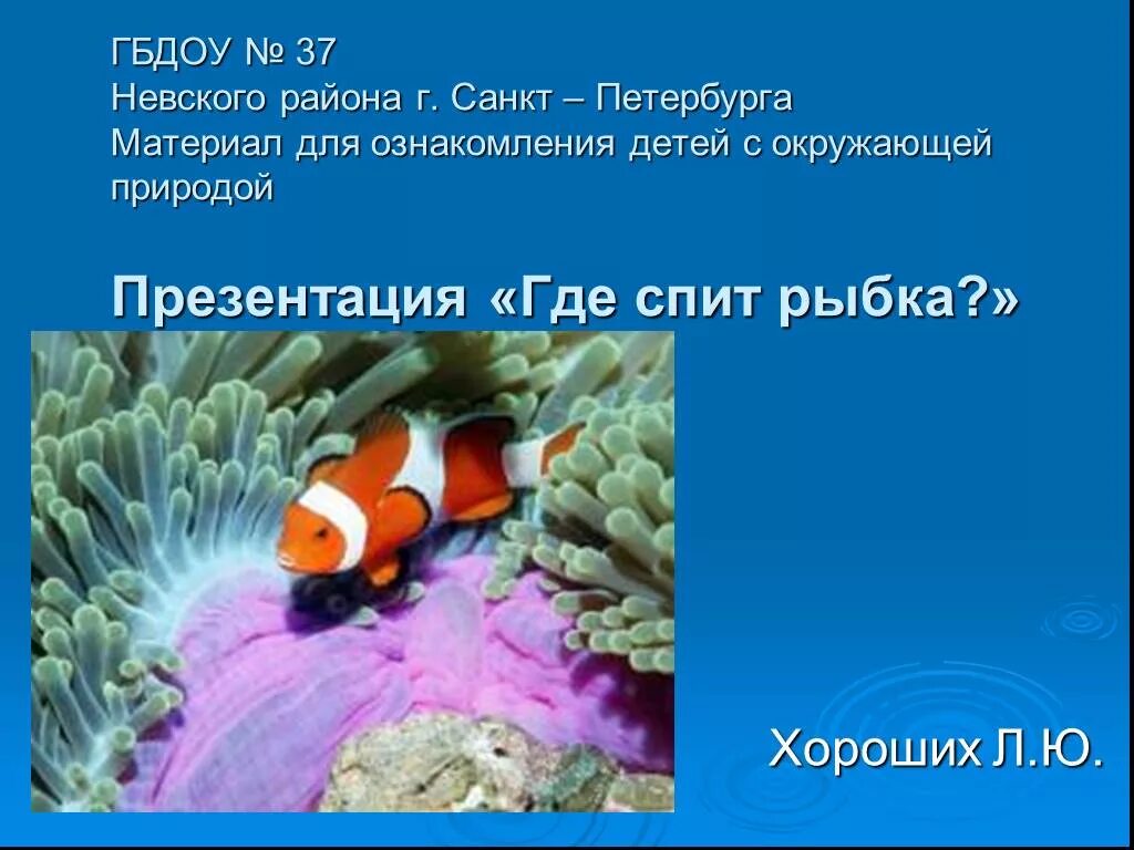 Боция клоун макраканта. Аквариумные рыбки спят. Боция кубота. Боции аквариумные рыбки. Боция леконта.