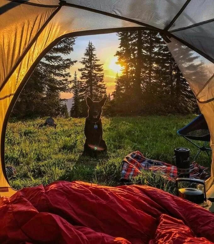 Кемпинг летом