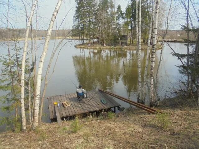 Рыбное в дмитровском районе. ВНИИПРХ Рыбное Дмитровский район. Село Рыбное Дмитровский район. Поселок Рыбное Дмитровский район. ВНИИПРХ рыбалка.