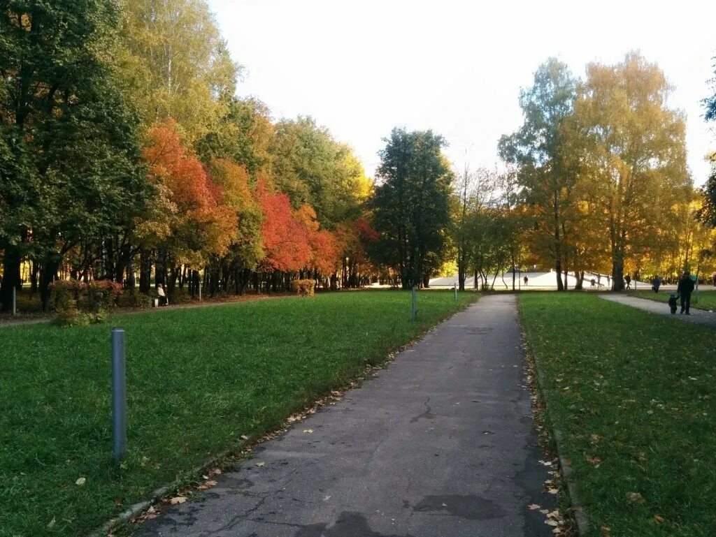 Парка рязань купить. Лесопарк Рязань. Парк дружбы народов Минск. Парк Рязанский Горбунов. Лесопарк круг Рязань.