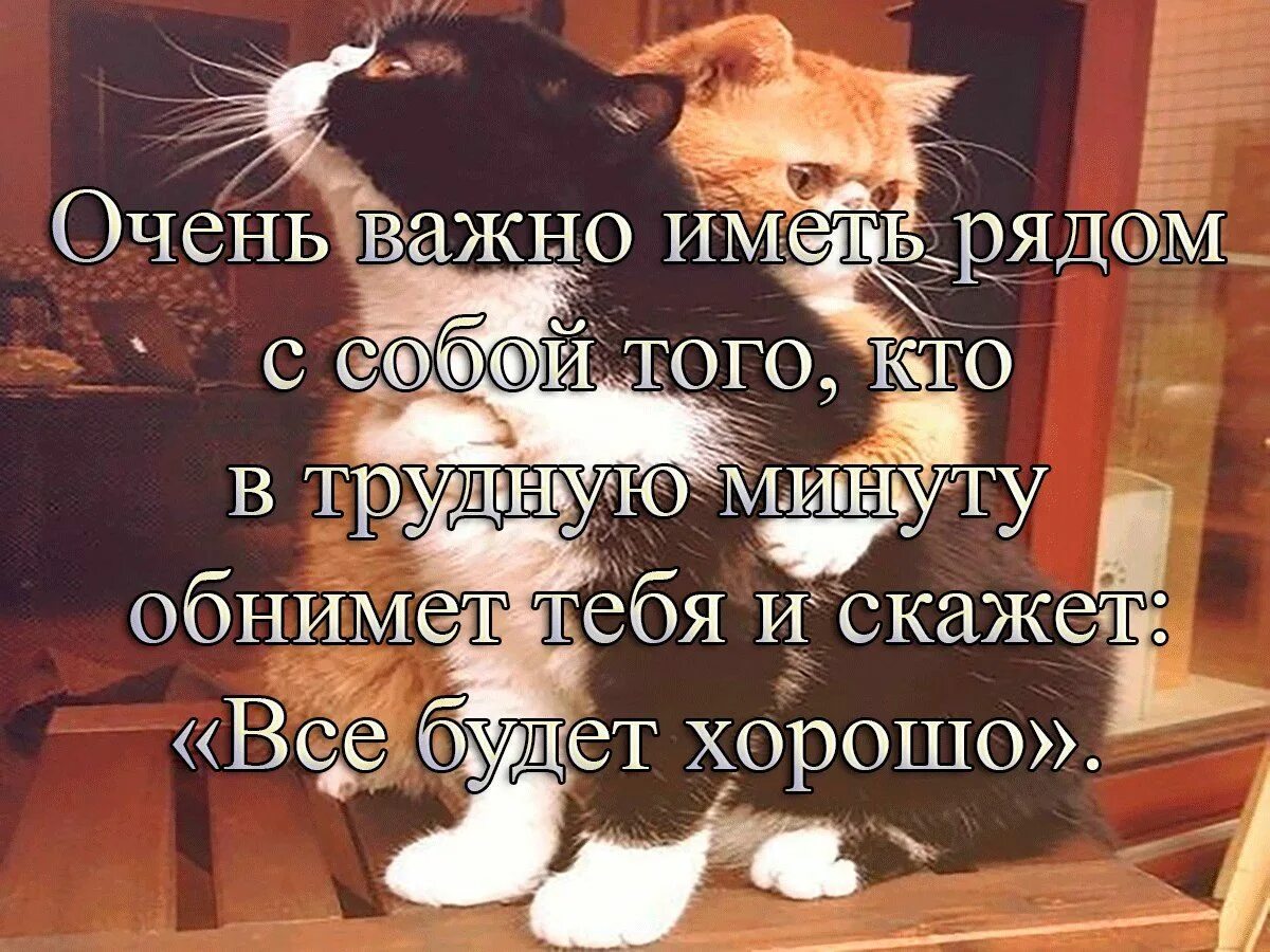 Тебя надо обнять. Статус про обнимашки. Хочется тепла и понимания. Открытка со словами про обнимашки. Хорошо когда есть кого обнять.