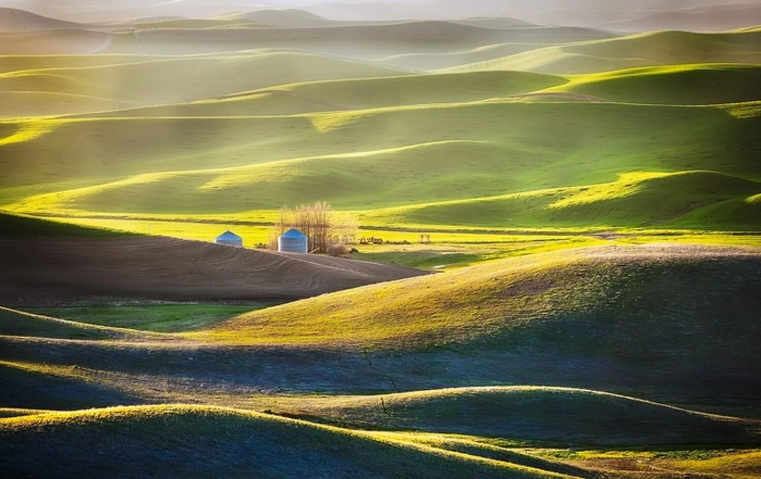 Великие холмы. Холмы Palouse, США. Зелёные холмы Палуз. Волнистые холмы. Изумрудное поле.