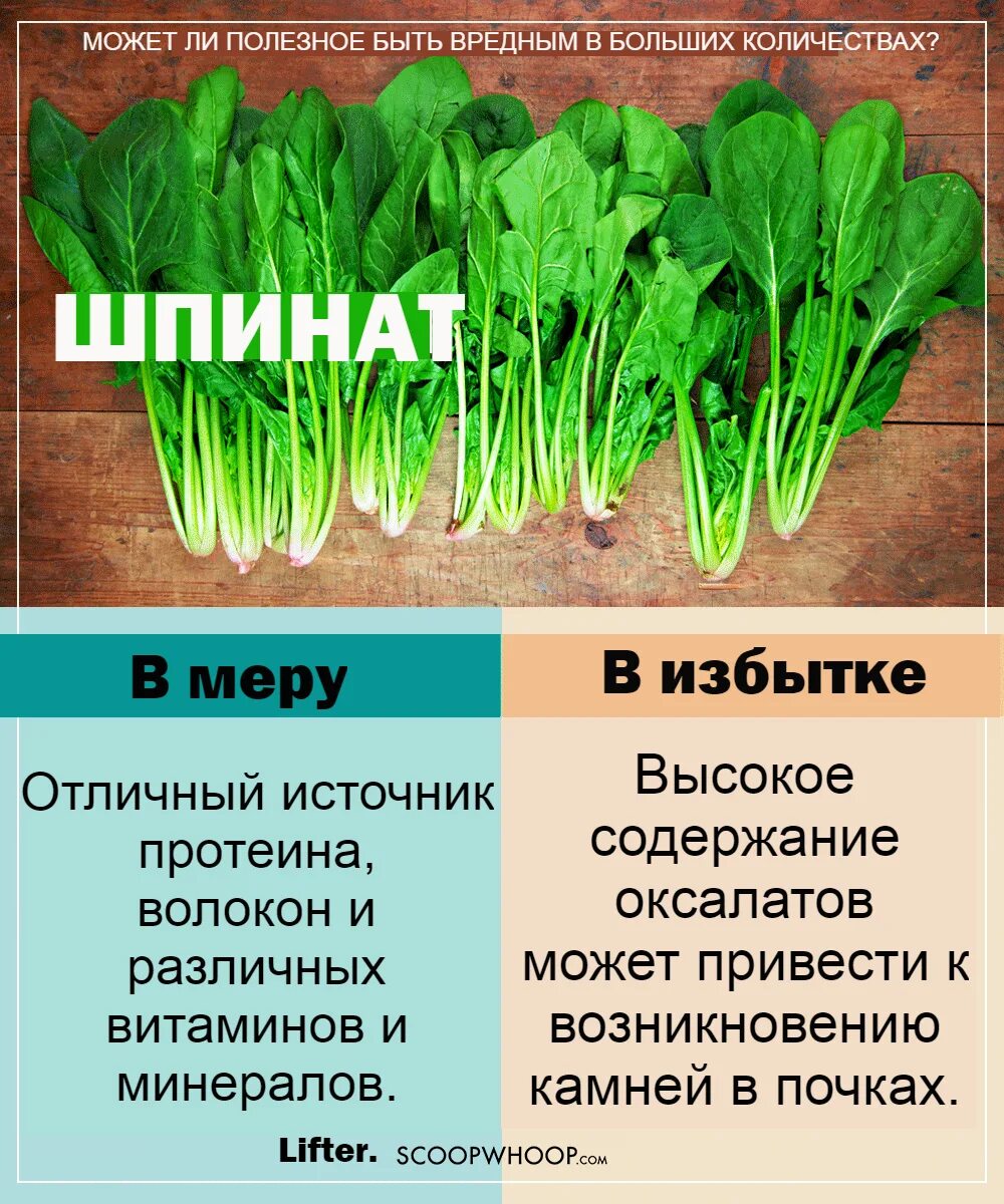 Шпинат полезные. Чем полезен шпинат. Полезные травы шпинат. Чем полезен шпинат для организма.