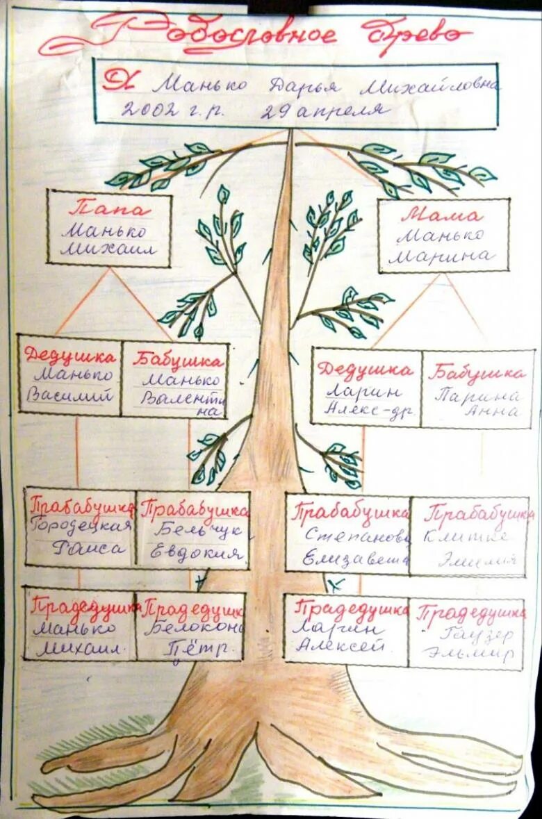 Как составить родословную семьи для школы. Генеалогическое Древо семьи своими руками для школы 5 класс. Древо жизни для 5 класса родословная. Родословное дерево рисунок. Как сделать древо 2 класс