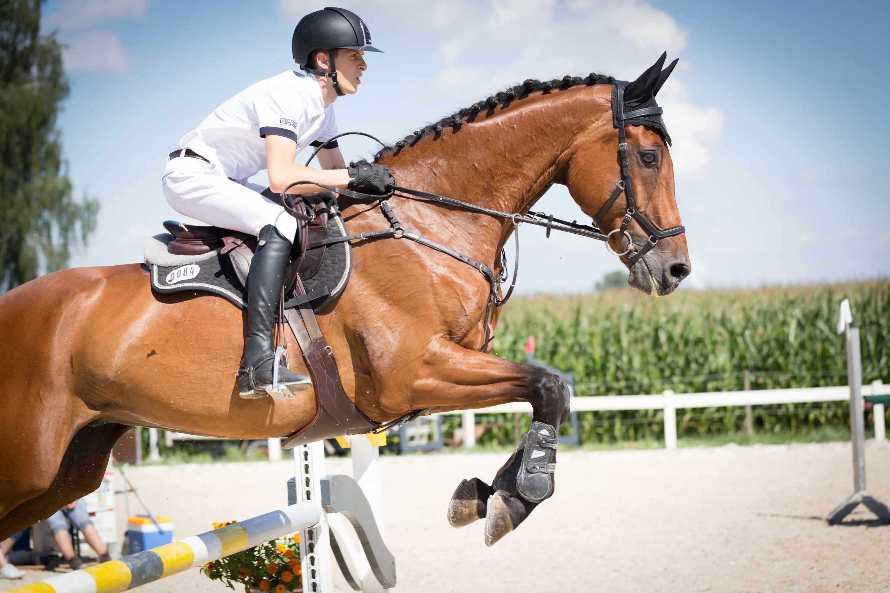 Horse sport. Наездник жокей всадник. Жокей конный спорт. Хорс райдинг. Верховая езда конкур.