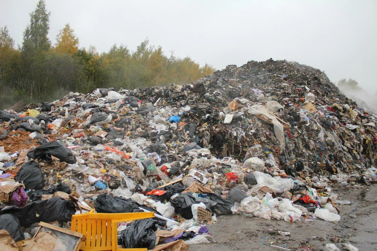 отчет в кадастр отходов. отходы mosreg. отходы mosreg. баки для раздельного сбора мусора подмосковье. смешанные отходы два бака.