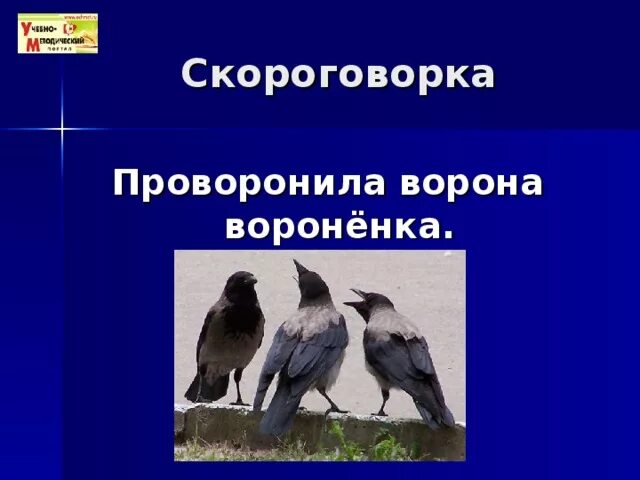 Скороговорки про ворон. Скороговорка проворонила ворона. Проворонила ворона вороненка. Проворонила ворона Вороненков. Скороговорка про вороненка.