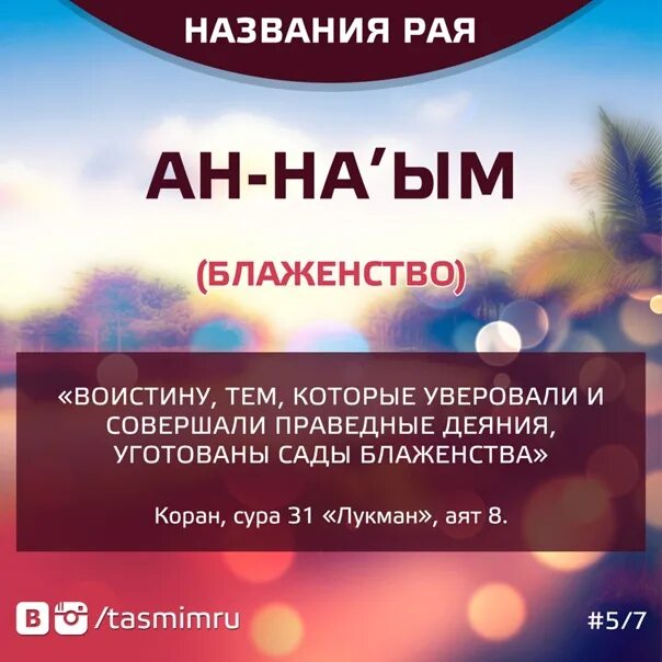 Положение женщин в раю, о гуриях, и другие интересные вопросы, связанные с этим.
