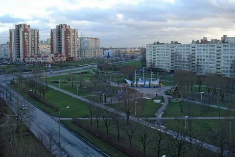 Купчино 14