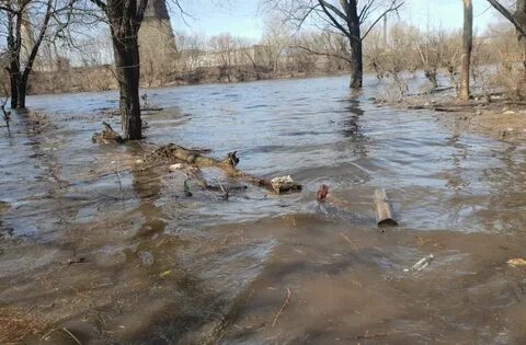 Куда дальше пойдет вода из орска