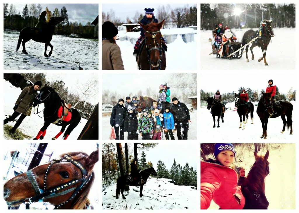 конный дворик в паркенте. конный двор водолей мурманск. конный двор чапаевск режим работы. усадьба крафта в королеве. конный двор полевской костоусова.