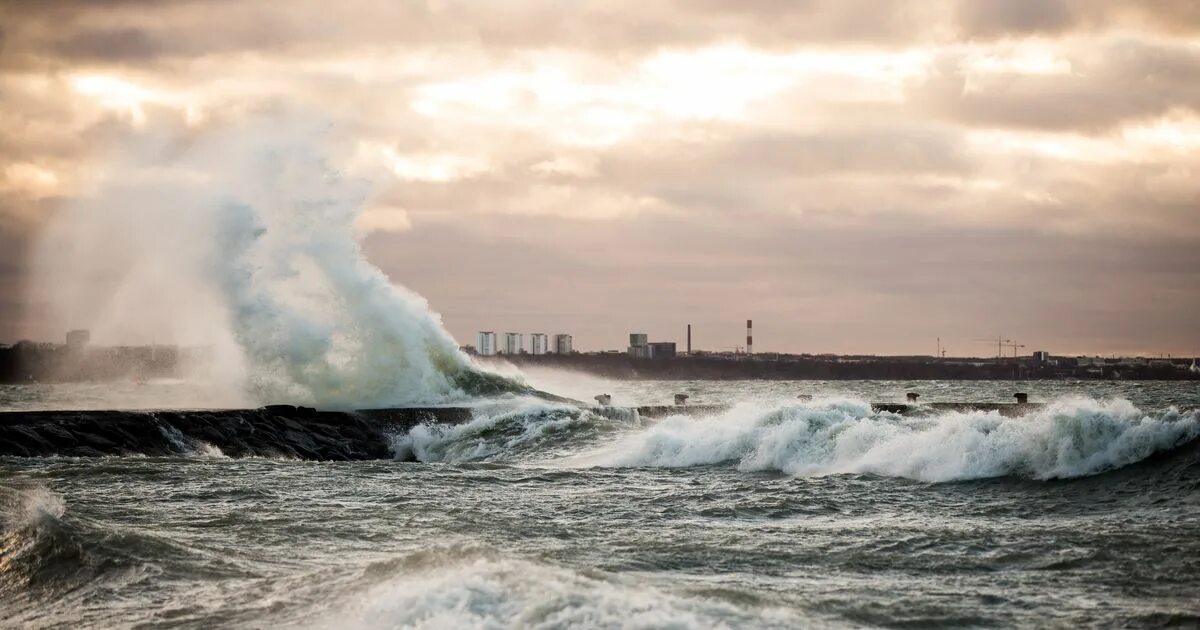Балтийское море зеленоградск калининград. Балтийское море люди. Балтика море калининград. Температура балтийского моря в калининграде. Вода балтийск.