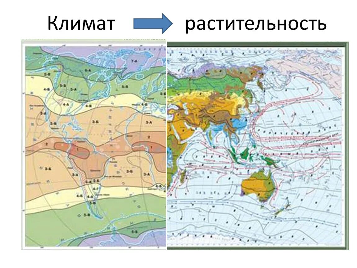 Климат и растительный мир. Растительный мир пояс. Растительный климат. Гео климатические карты. Атлас 6 класс природные зоны