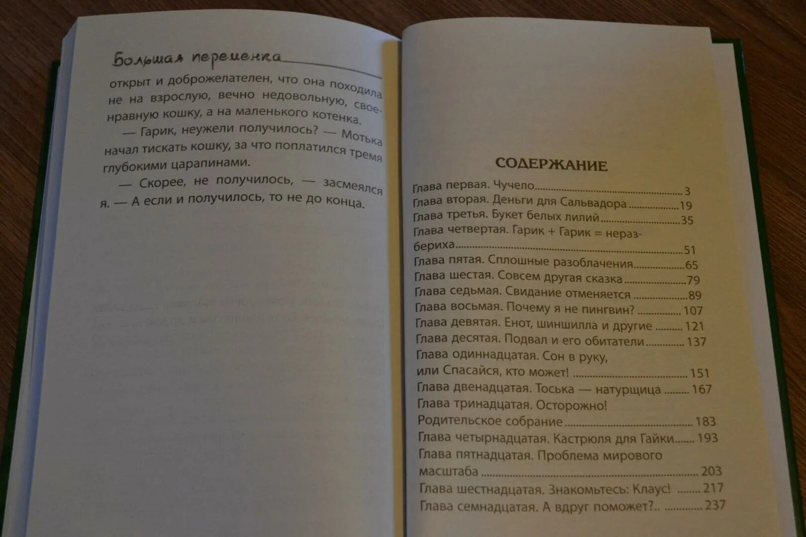 Пилигрим содержание чем закончится. Книга тайна школьного подвала. Книга Ситникова тайна школьного подвала.