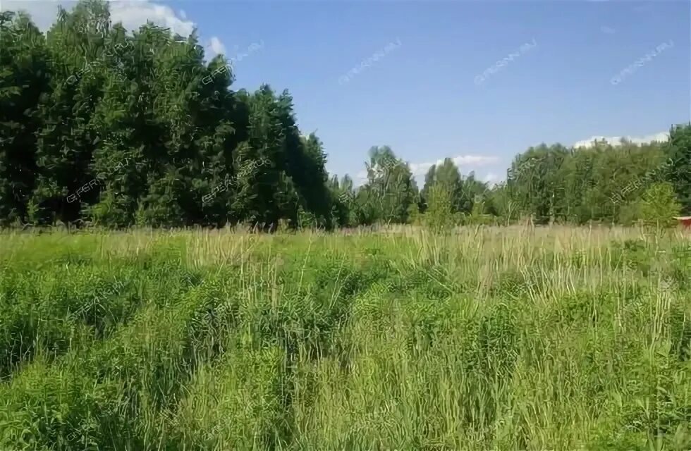 Жуковка нижегородская область. Жуковка нижегородская область. Жуковка нижегородская область. Жуковка нижегородская область. Жуковка 21 век коттеджный поселок.