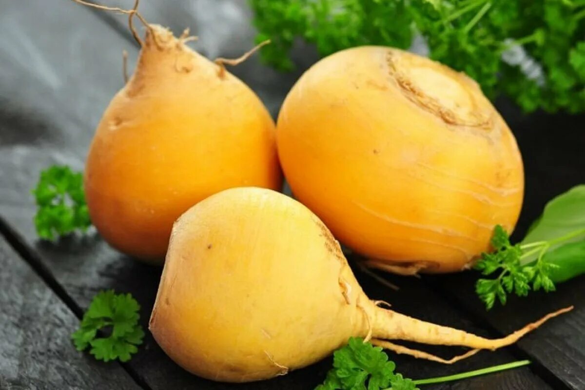 Репа какие сорта. Репа (brassica rapa). турнепс корнеплоды. репа желтая турнепс.