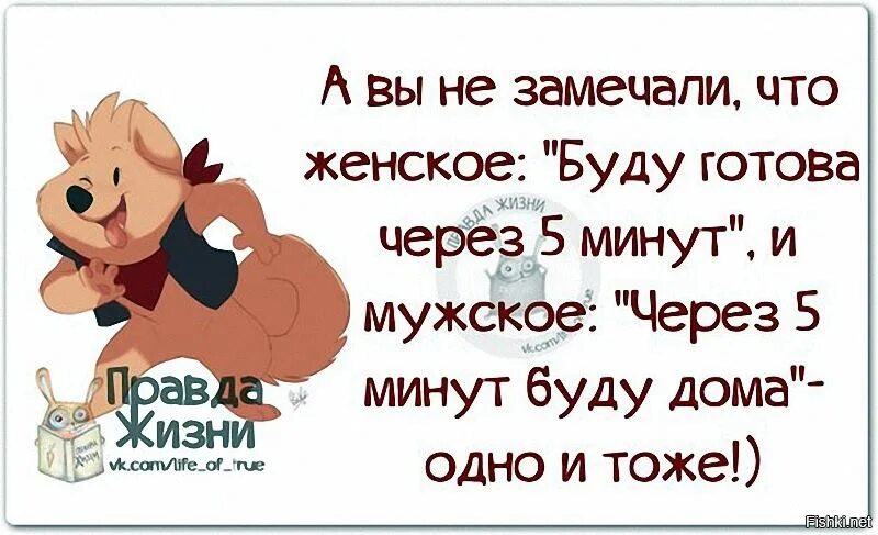 Смешные цитаты про жизнь. Смешные высказывания о жизни. Афоризмы в картинках о жизни прикольные. Смешные цитаты с картинками правда жизни.