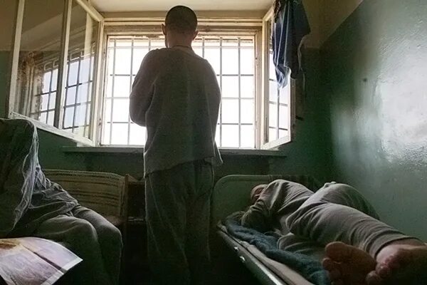 В психушку из за хомяка. Снимки из психбольницы. В психушку из за хомяка. Девушки в психиатрической клинике. Хомячок доктор.