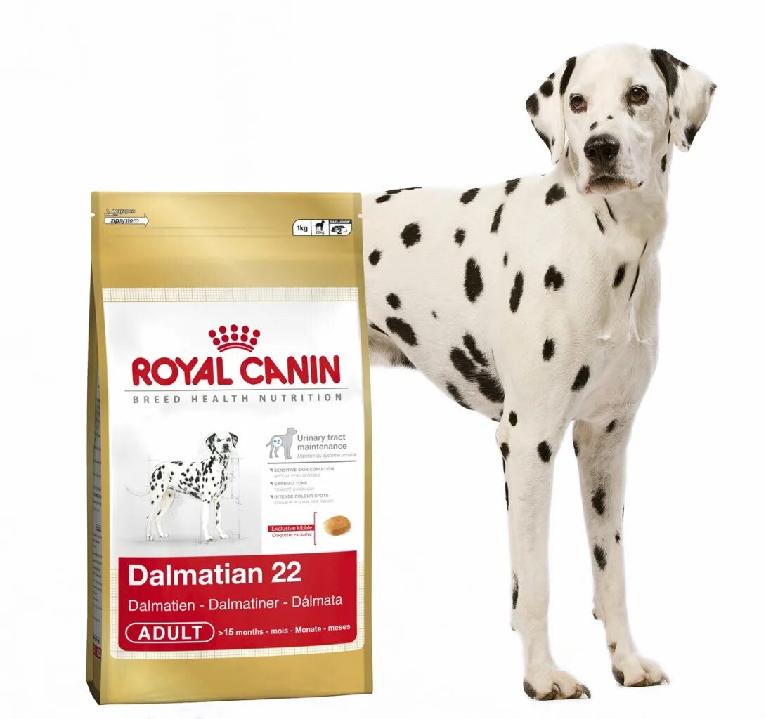 Корм для далматина Роял Канин. Royal Canin Dalmatian 12 кг для собак. Роял Канин для далматинцев. Adult Dalmatian корм для собак. Корм для собак роял 15 кг